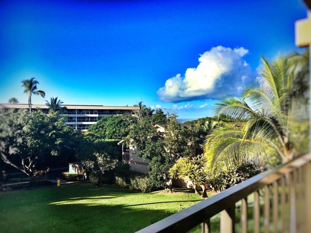 Amazing Kihei Kai Nani - Maui Vista One Bedroom Condos Eksteriør billede