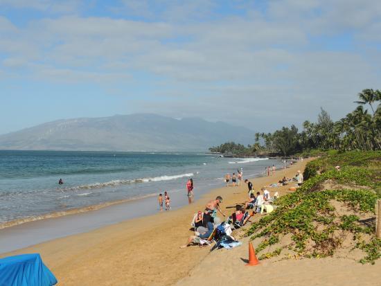 Amazing Kihei Kai Nani - Maui Vista One Bedroom Condos Eksteriør billede